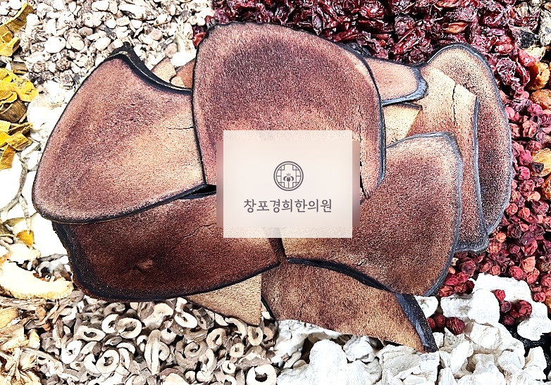 처방 약재