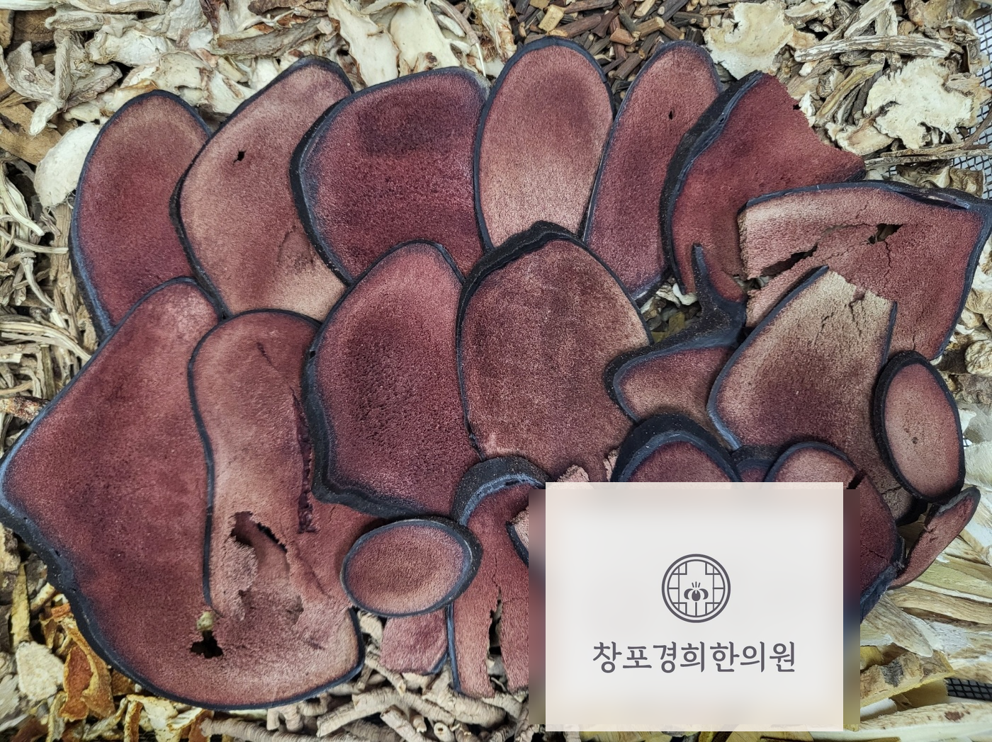 처방 약재