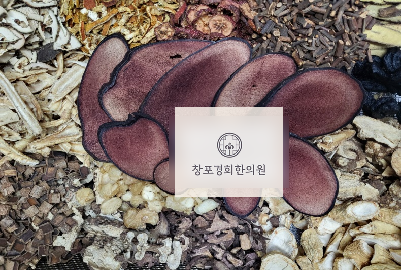 처방 약재