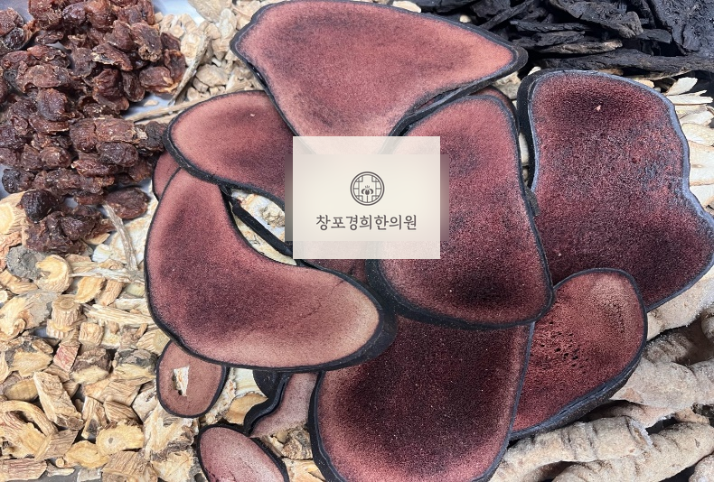 처방 약재
