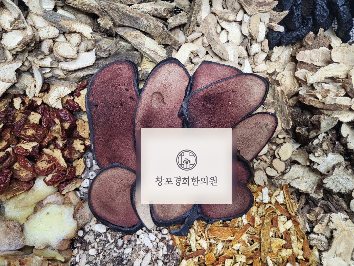 처방 약재