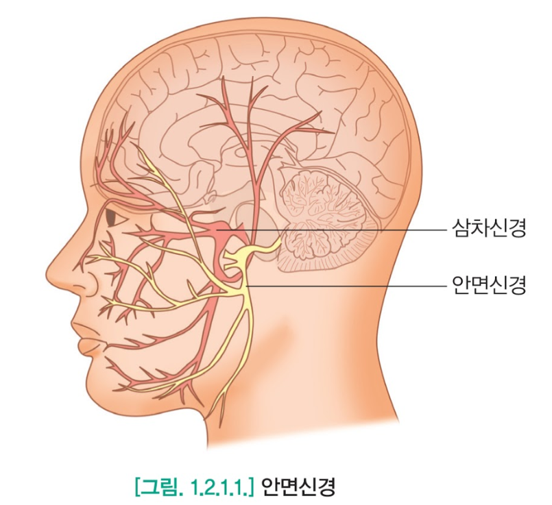 창포경희한의원 처방례