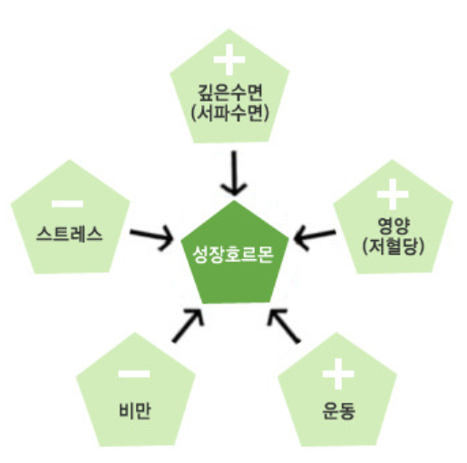 창포경희한의원 처방례