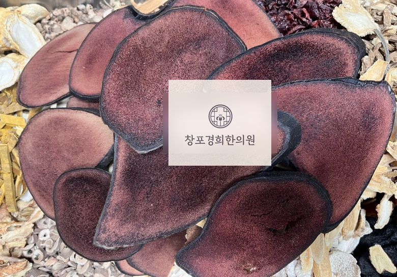 처방 약재