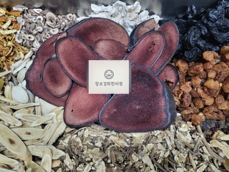 처방 약재