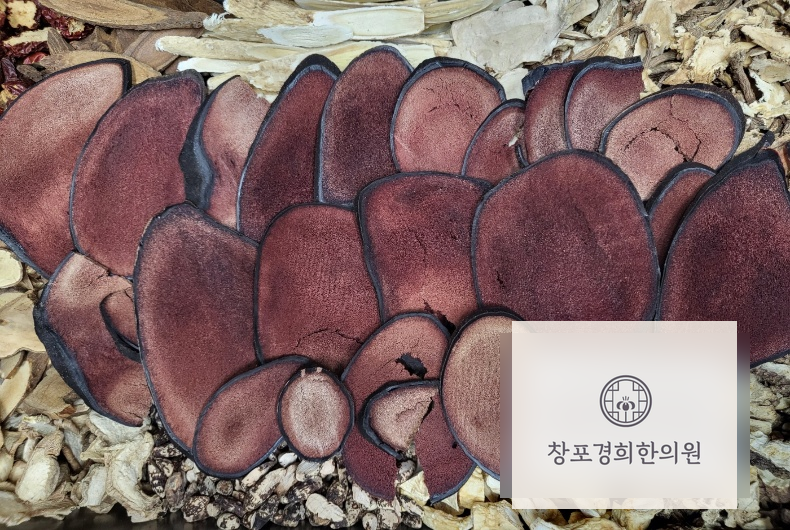 처방 약재