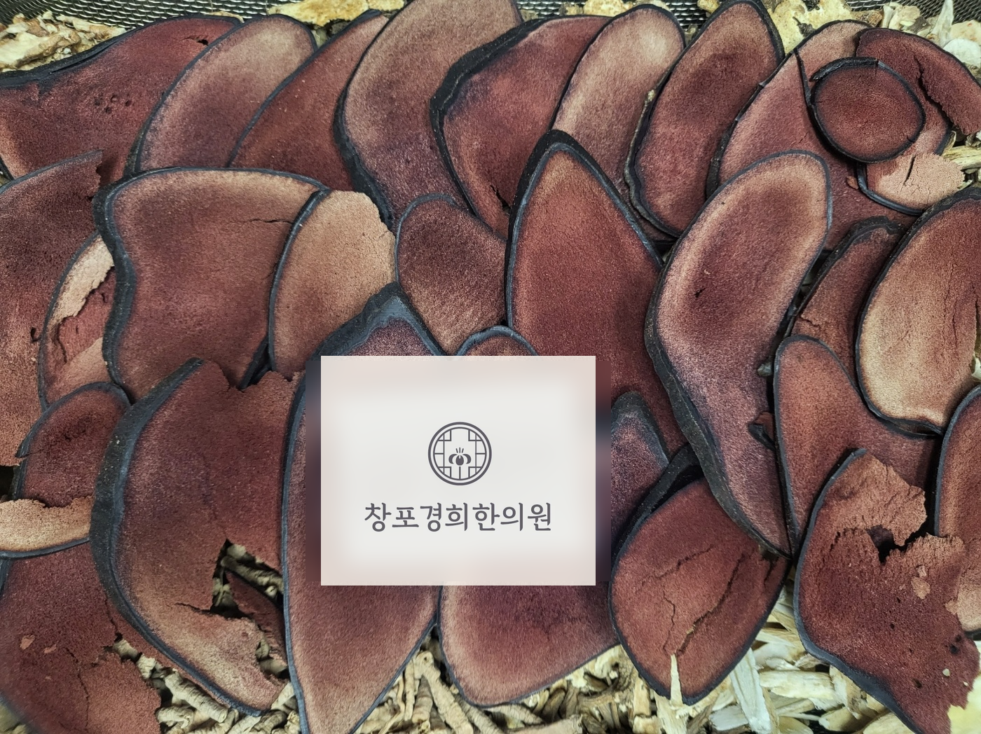 처방 약재