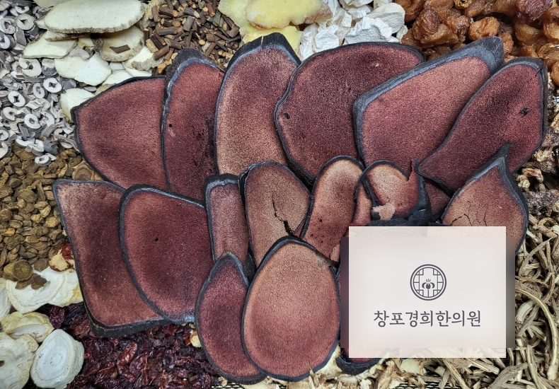 처방 약재