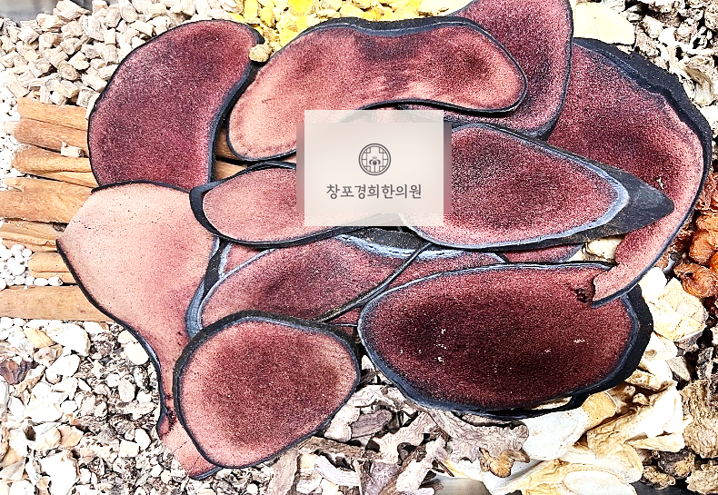 처방 약재