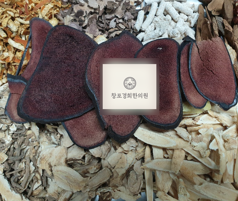 처방 약재